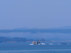P4190868.JPG