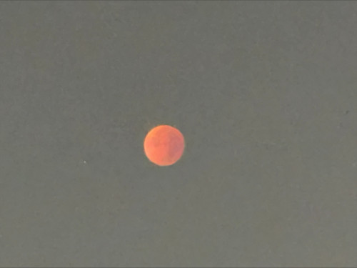processed-6B5606B7-B1AF-45C9-9D28-E988FE2631AC.jpeg