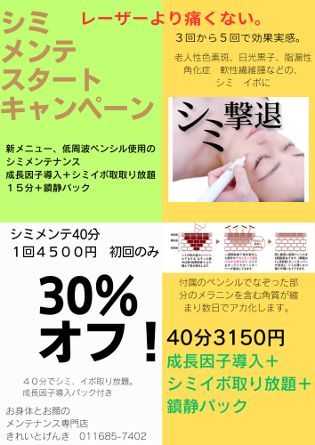 シミメンテ　低周波ペンシル