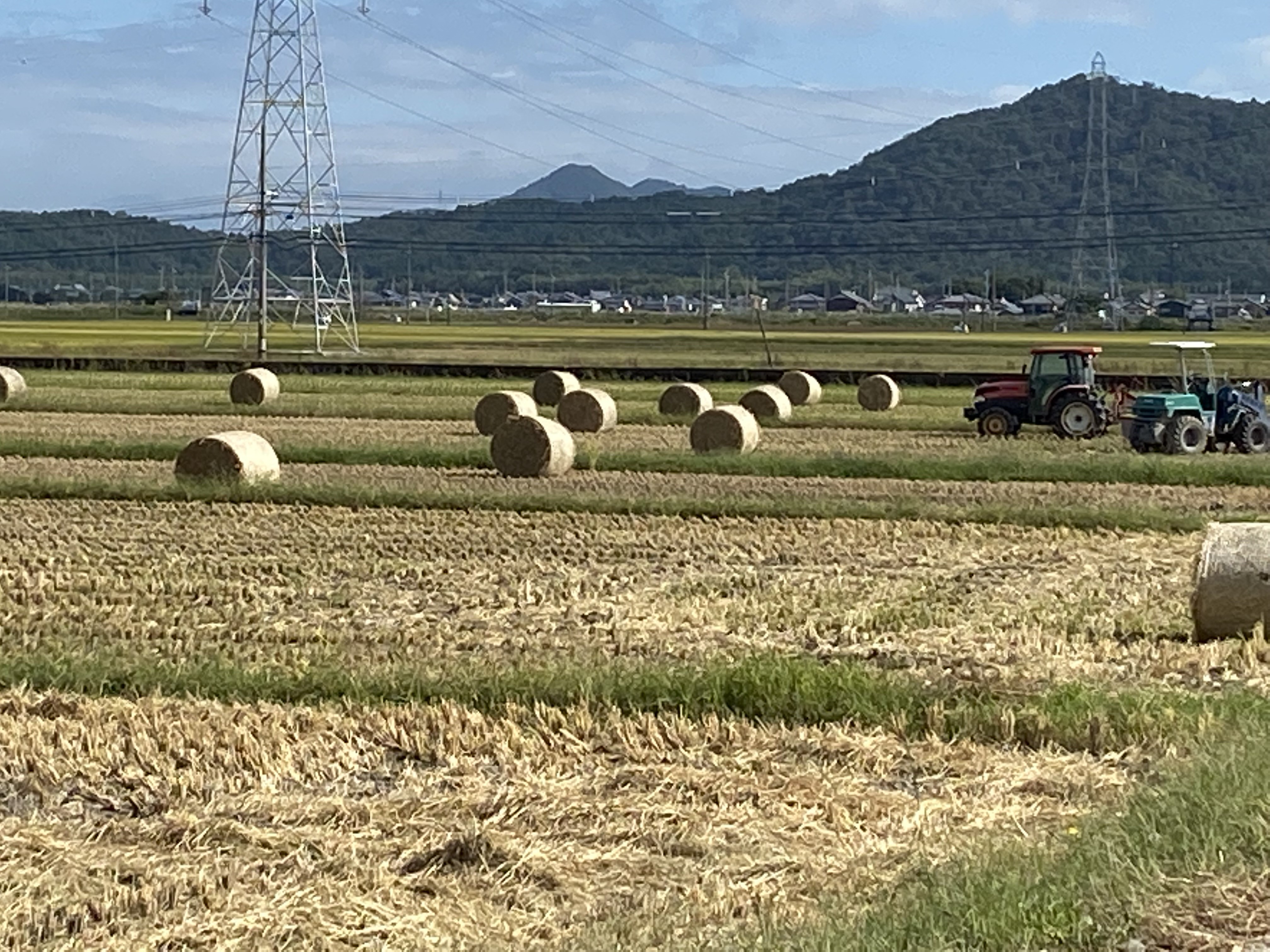 滋賀県蒲生郡　みずかがみ【新米】