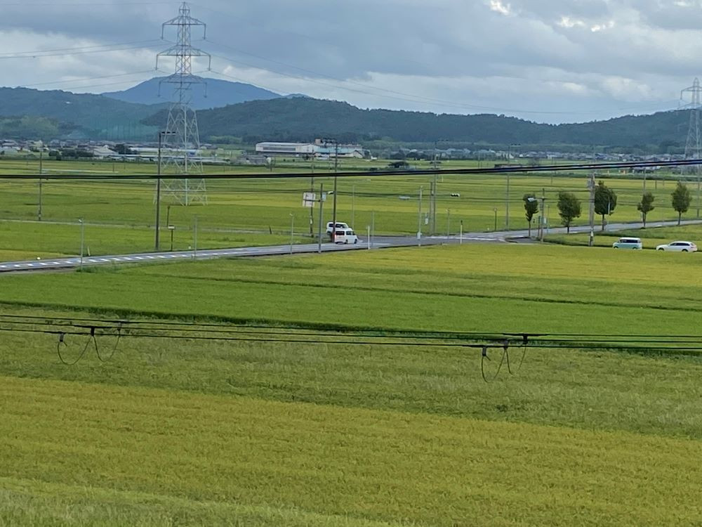 新潟県南魚沼市　ミルキークイーン【新米】