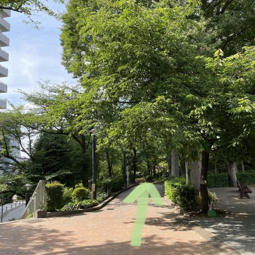 IMG_4055.jpeg