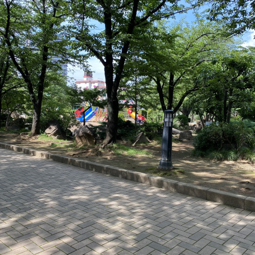 IMG_4062.jpeg