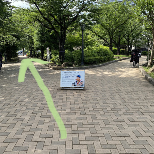 IMG_4063.jpeg
