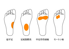 22073530.jpg