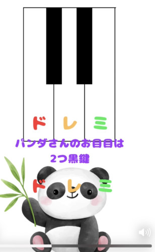 IMG_2019.jpeg