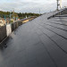 PXL_20241126_045818003.jpg