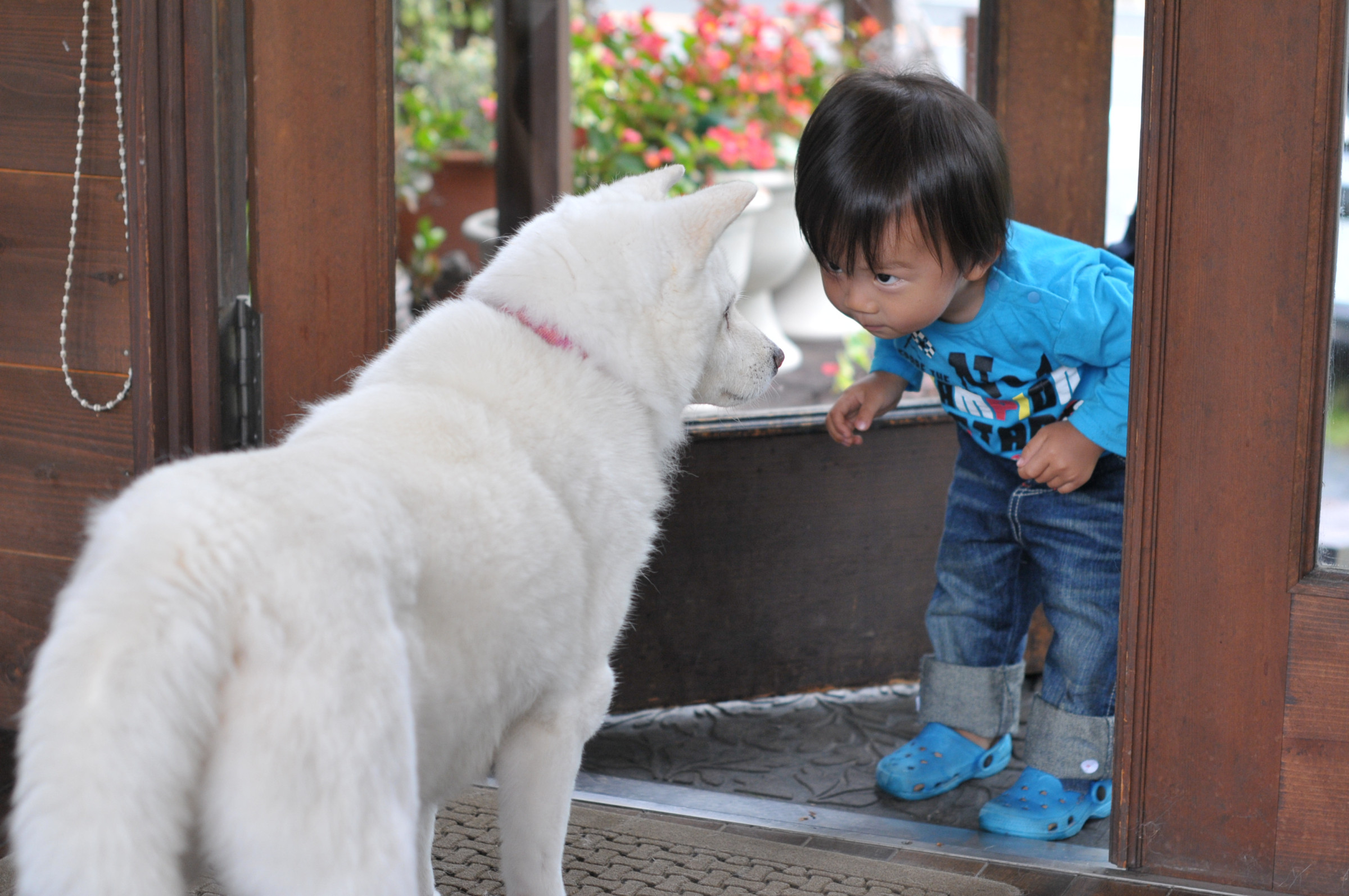 こんにちは＾＾井上出版企画です。