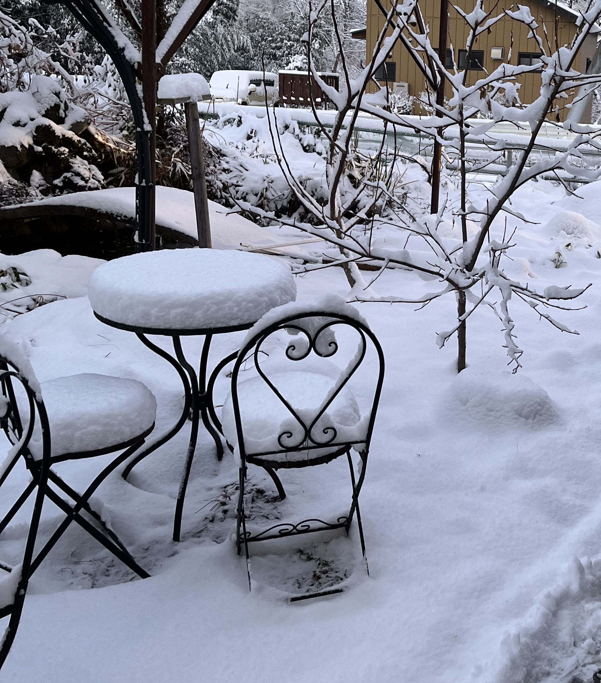 12月23日久しぶりの雪景色
