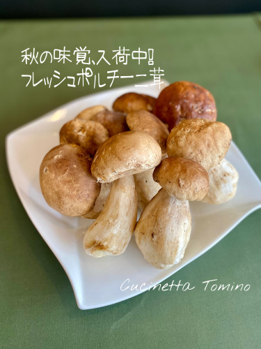 フレッシュポルチーニ茸入荷！
