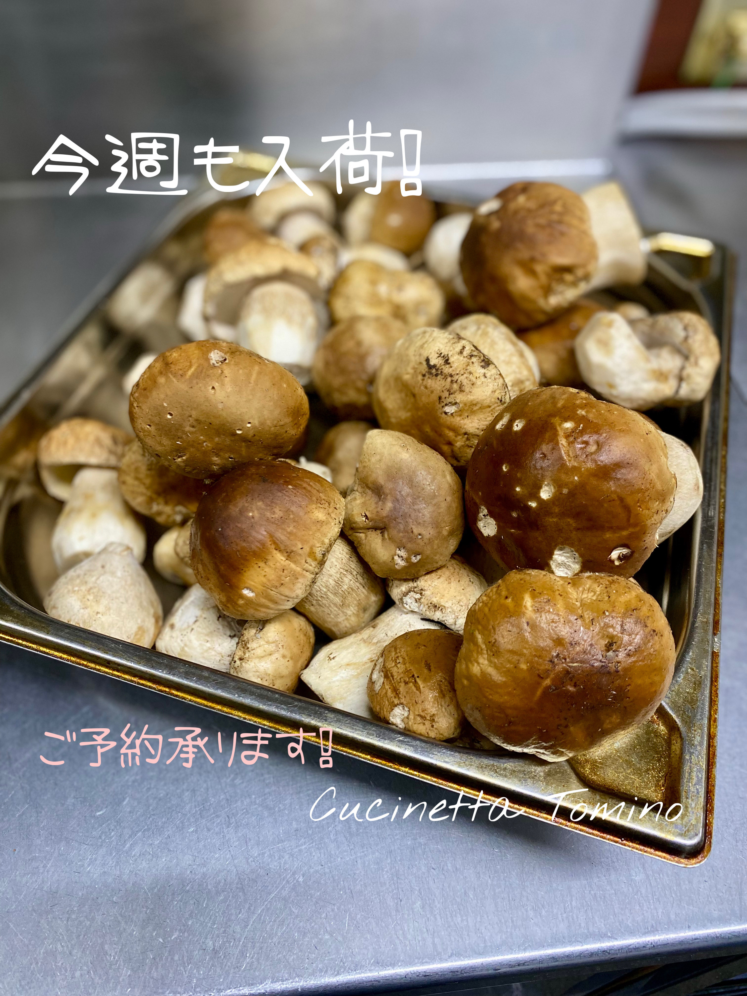 今週も入荷