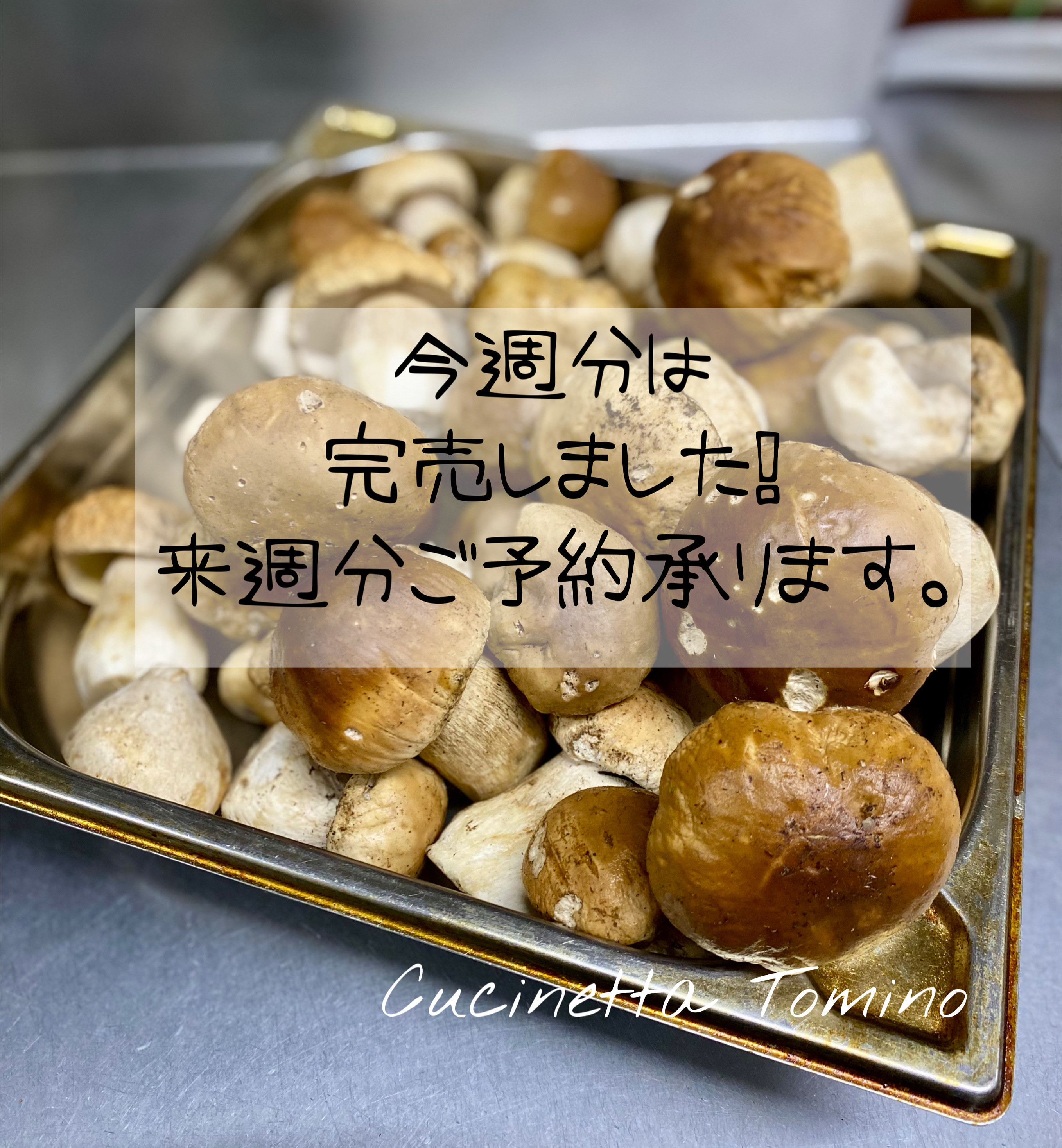 今週分フレッシュポルチーニ茸完売