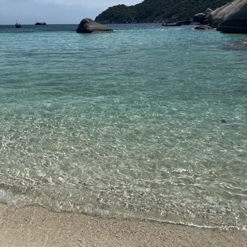 夏季休暇のお知らせ