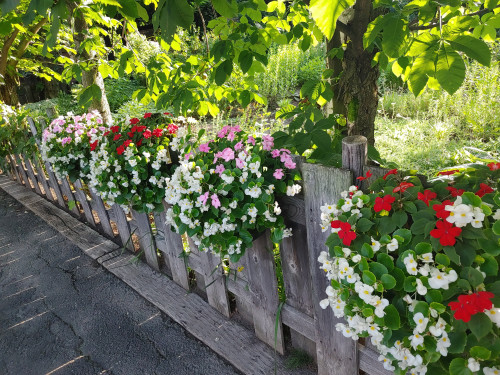 Somatic Experiencing®について（使用する技法）