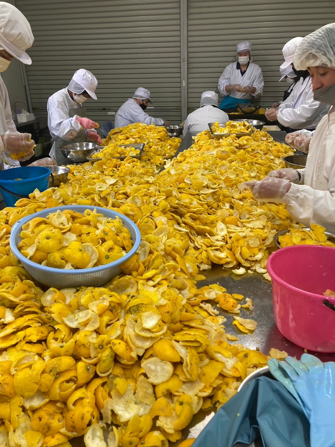 ゆず加工補助及び出荷準備作業