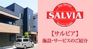 バナー 380×200 SALVIA 紹介.jpg