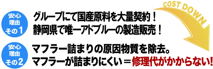 株式会社桔梗 アドブルー DPマフラーリビルド洗浄 エコツーライト