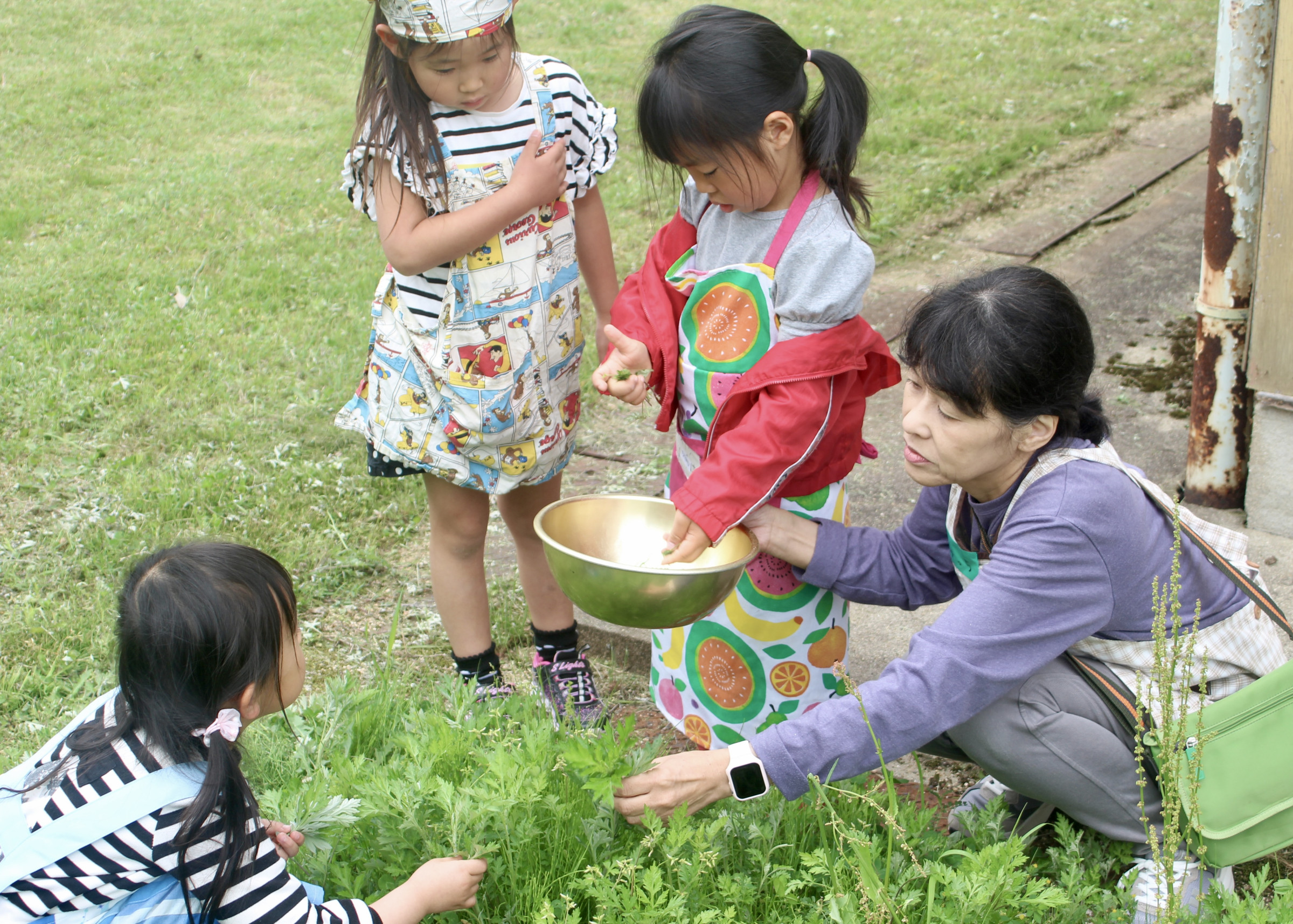 大人も子どもも 同じ目線で 同じ一票