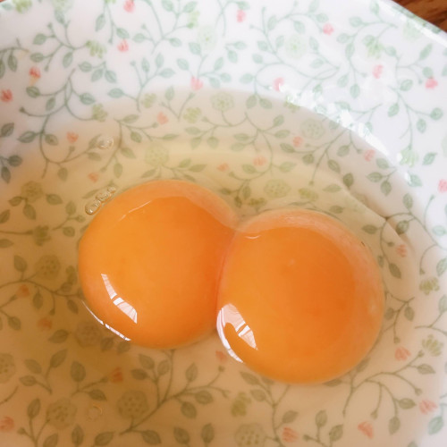 ふたご卵.jpg