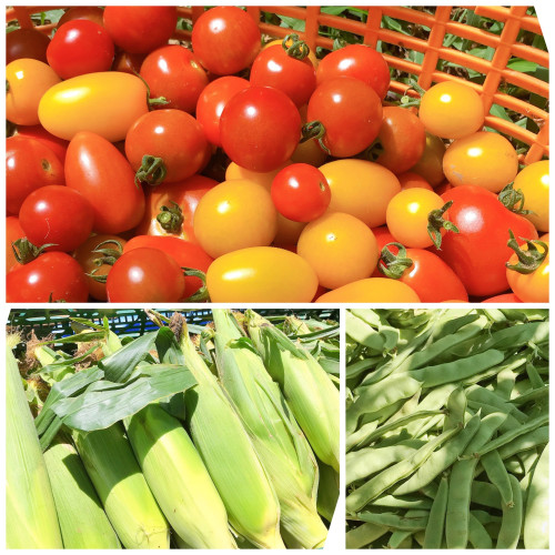 野菜1.jpg