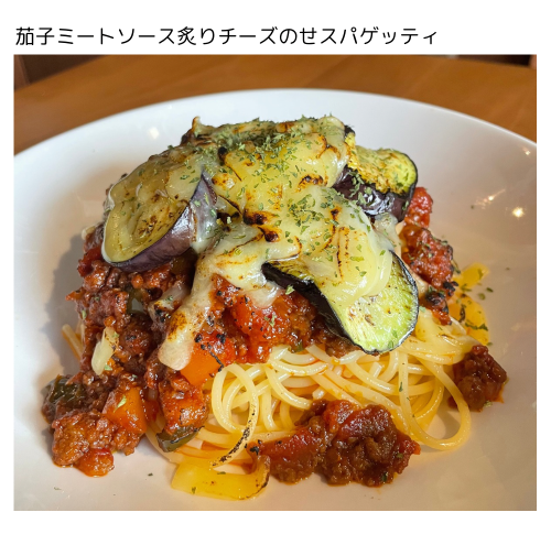 今週のお知らせ