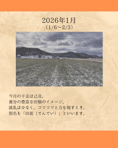 2026年1月 - 1.PNG