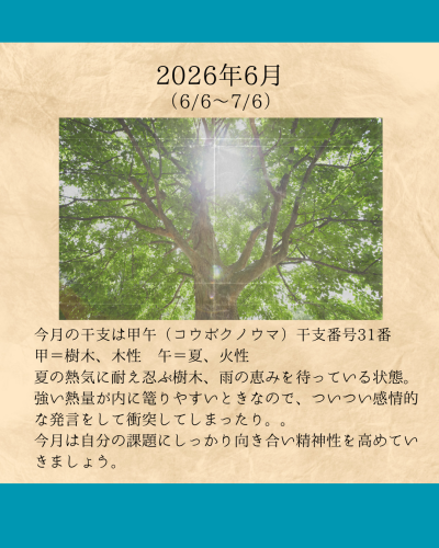 2026年1月 - 1.png