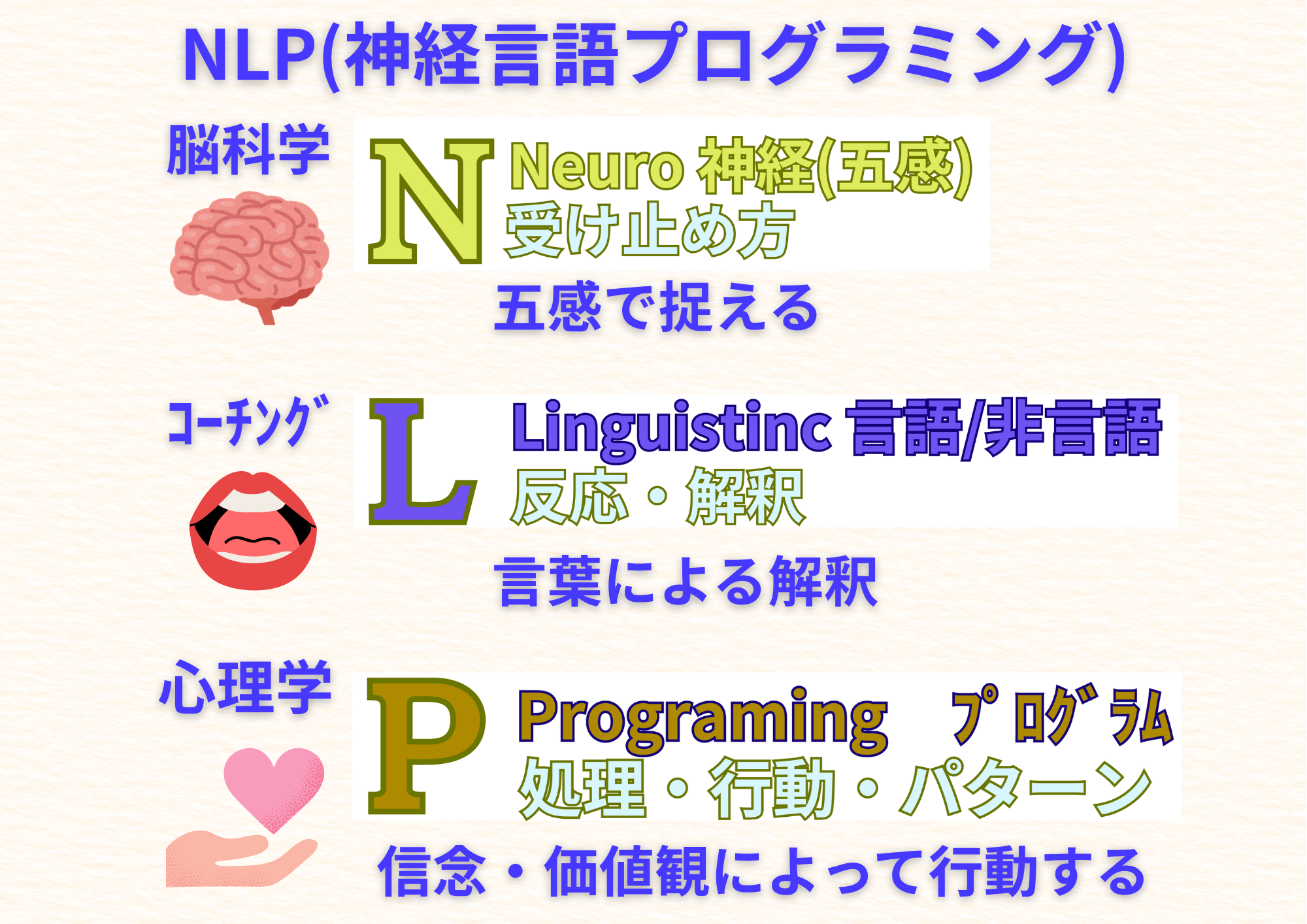 体験講座3級認定講座 (2025年度版)★ 2.pdf (1).png