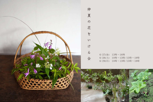 齊藤謙大/仲夏の花をいける会