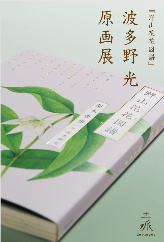 『野山花花図譜』　波多野光原画展