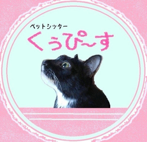 line_oa_chat_260516_135915.jpg