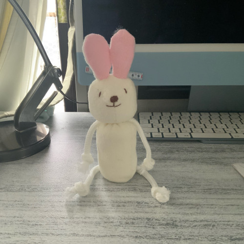 0_IMG_4388.jpeg