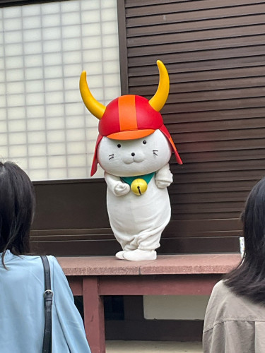 1_IMG_6978.jpeg