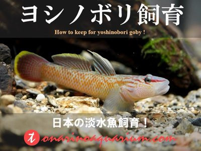 0_画像 10.jpeg