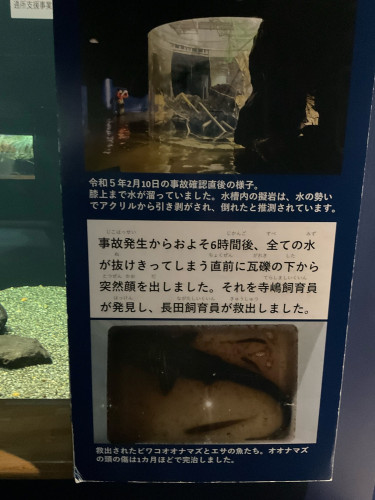 6_IMG_7365.jpeg