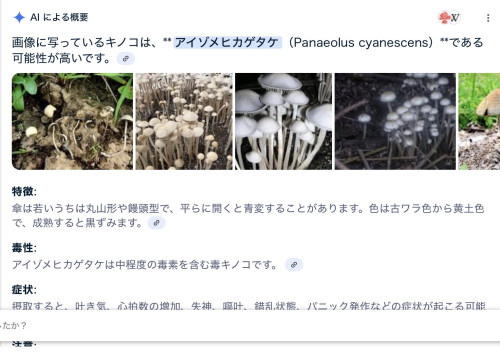IMG_7667.jpeg