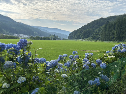 1751319875848.jpg