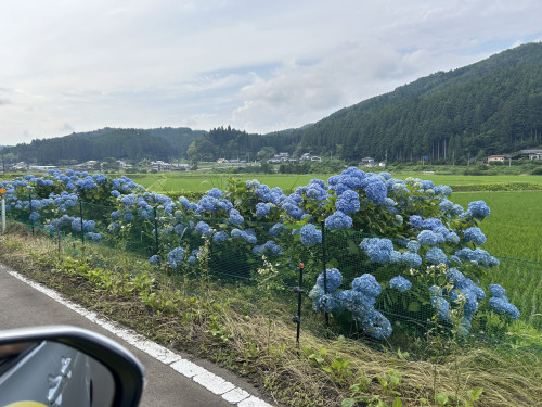 image1 (6).jpeg