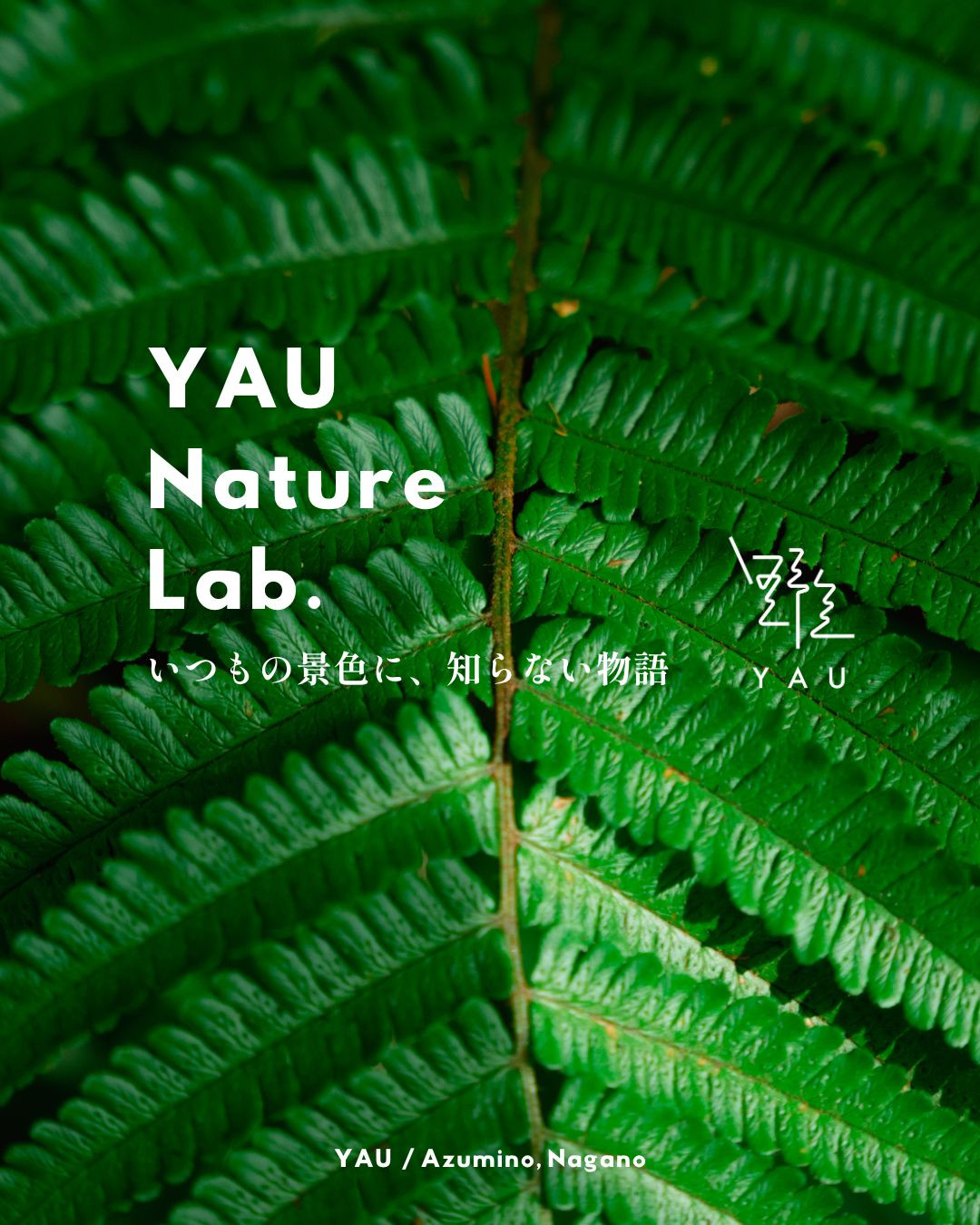 YAU Nature Lab. Vol.01 開催延期のお知らせ