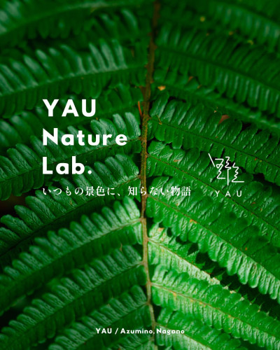 YAU Nature Lab. Vol.01 開催延期のお知らせ