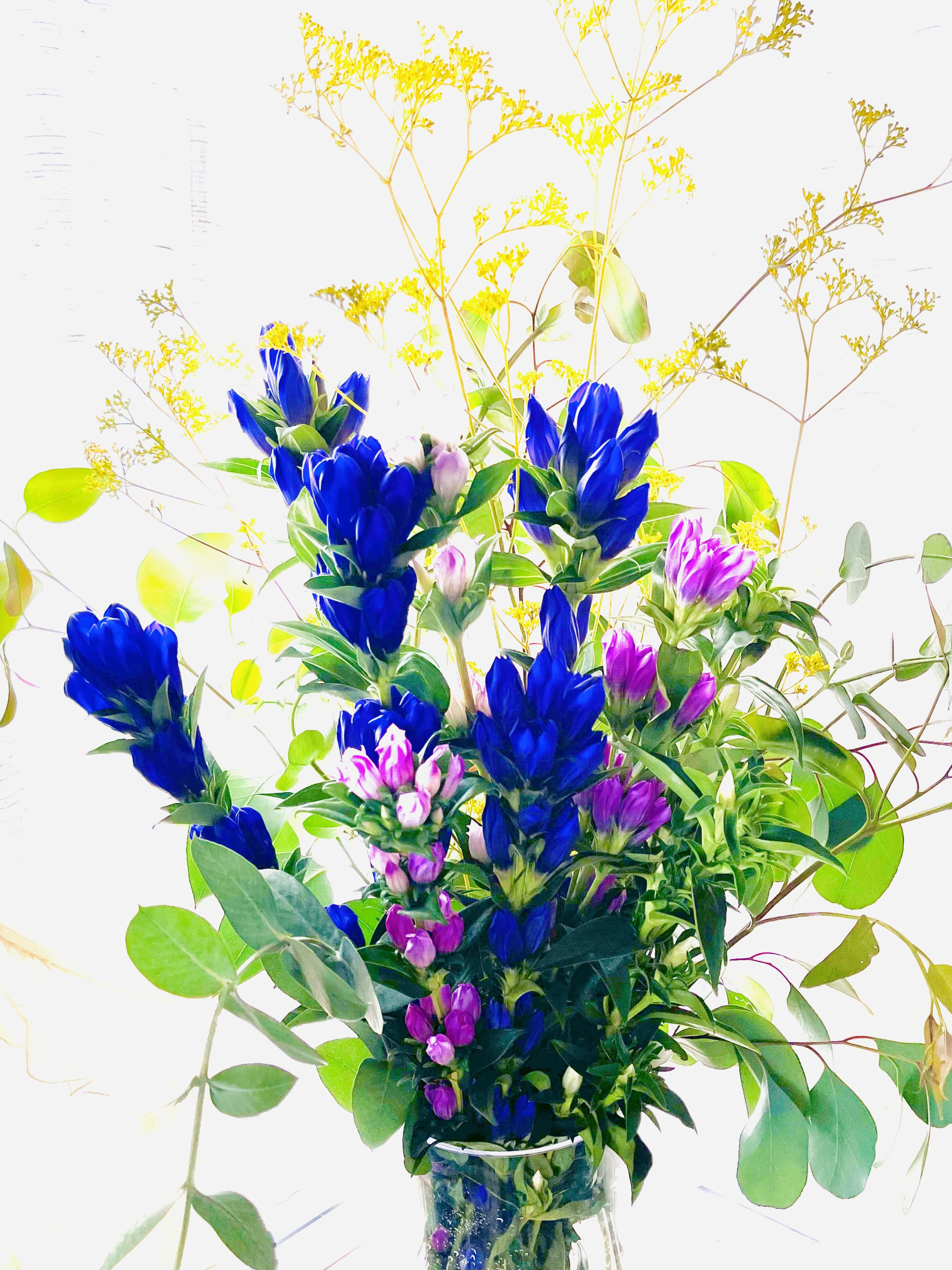 生花
