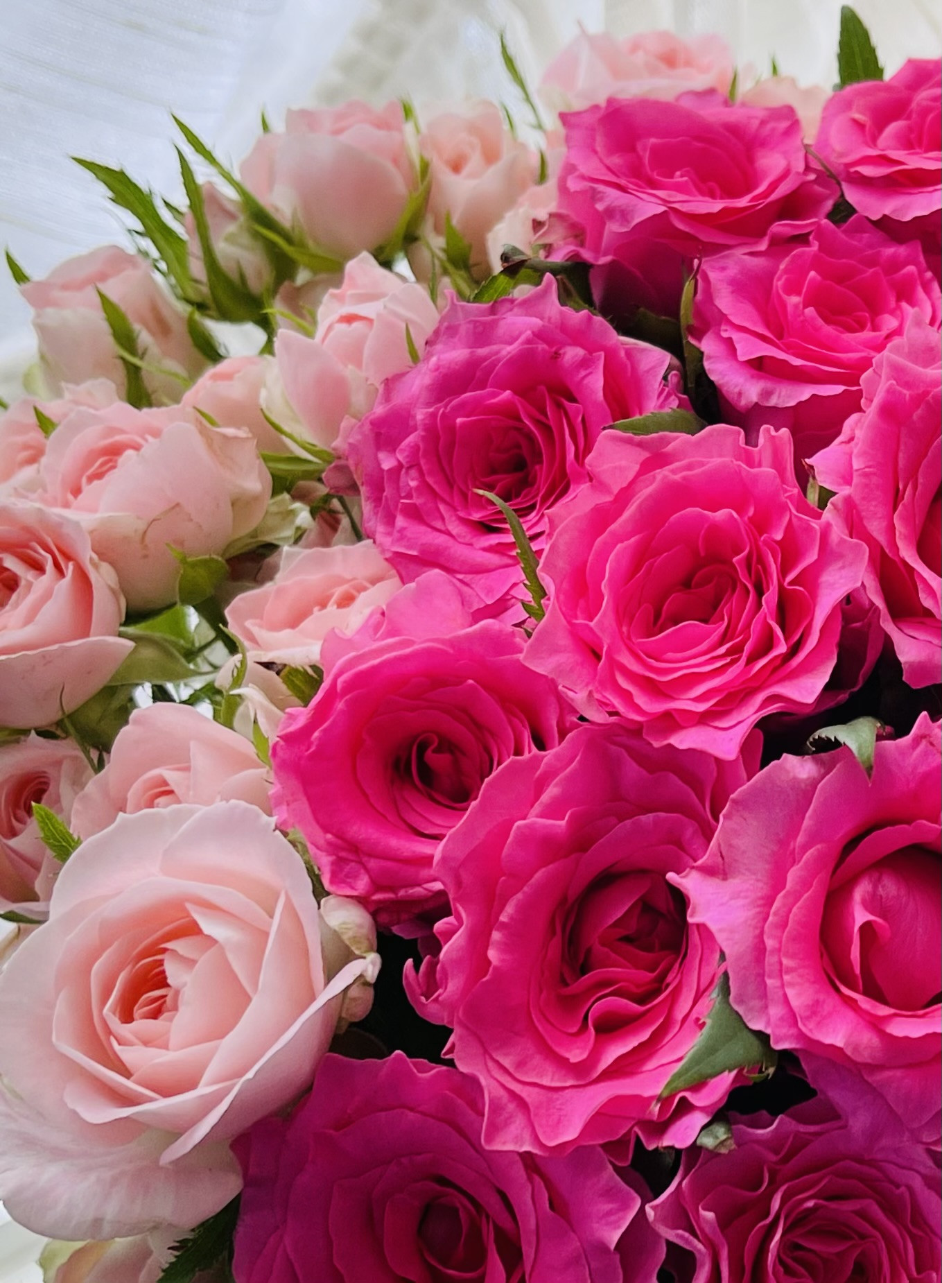 生花レッスンフラワー