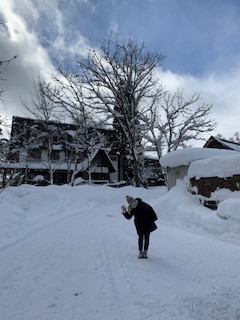 春の雪