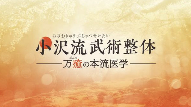 小沢流武術整体】小沢真太郎 整体DVD 手技DVD 治療院