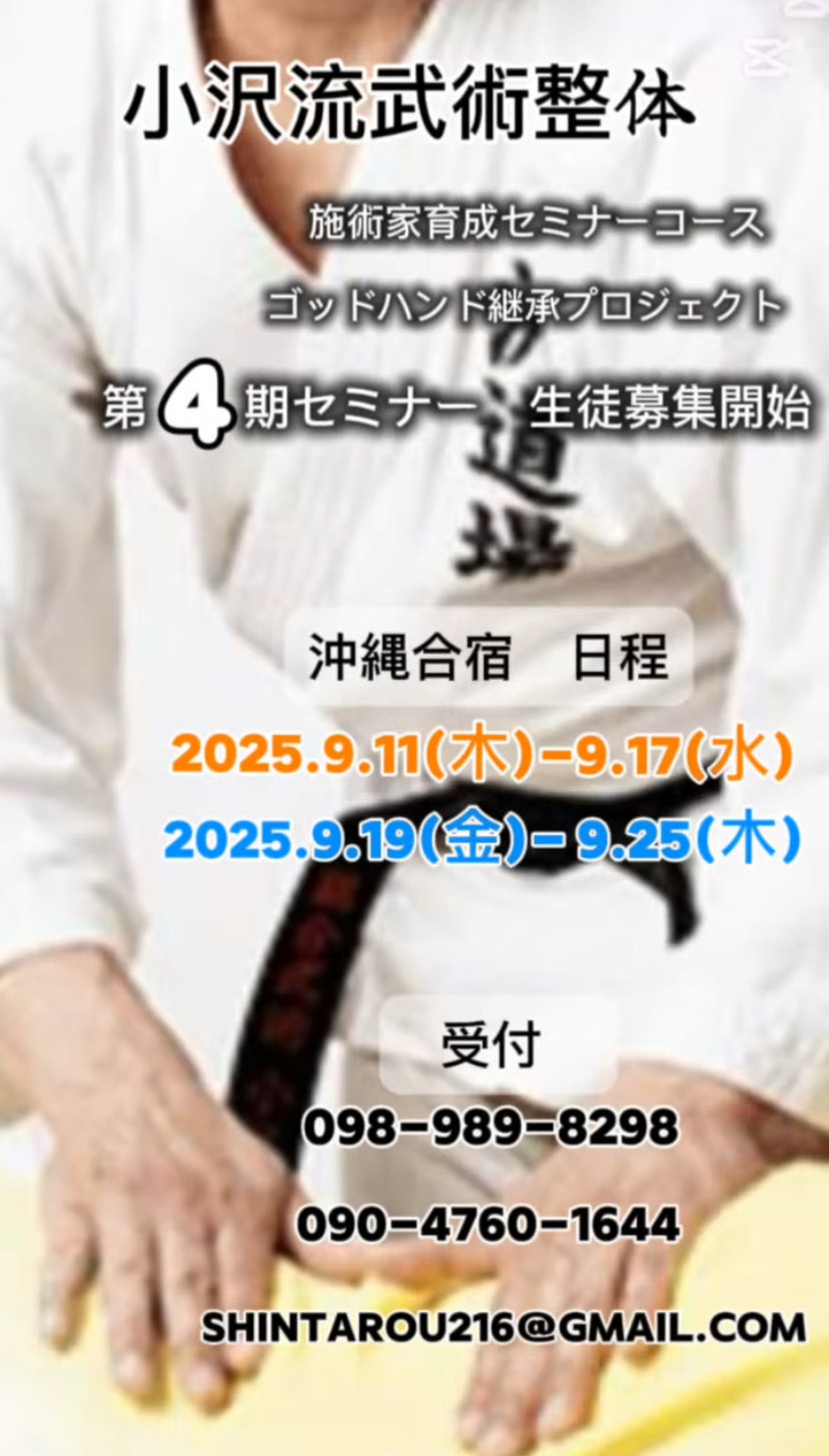 小沢流武術整体DVD セルフケアDVD