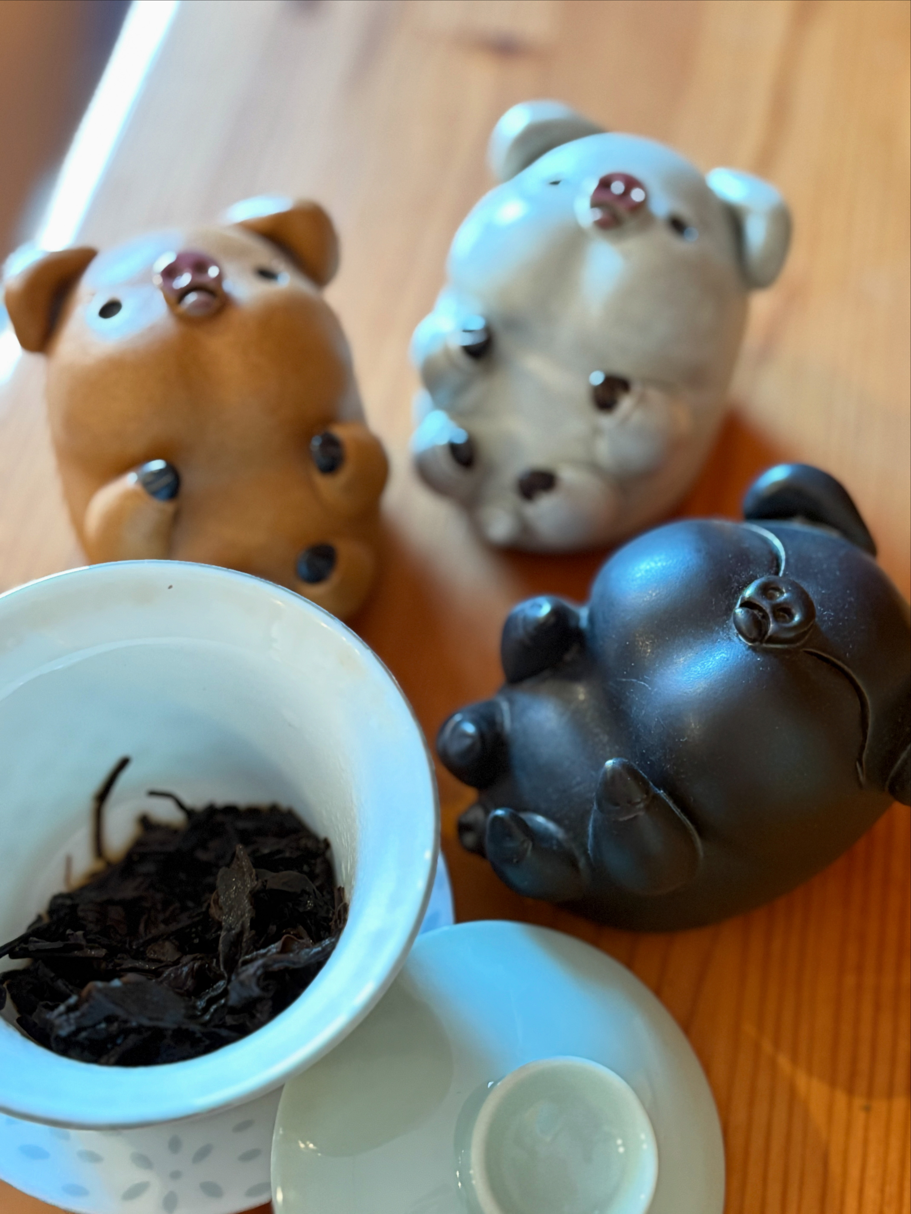 新茶入荷しました