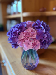 IMG_7763.jpeg