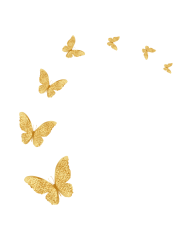 IMG_1413.png