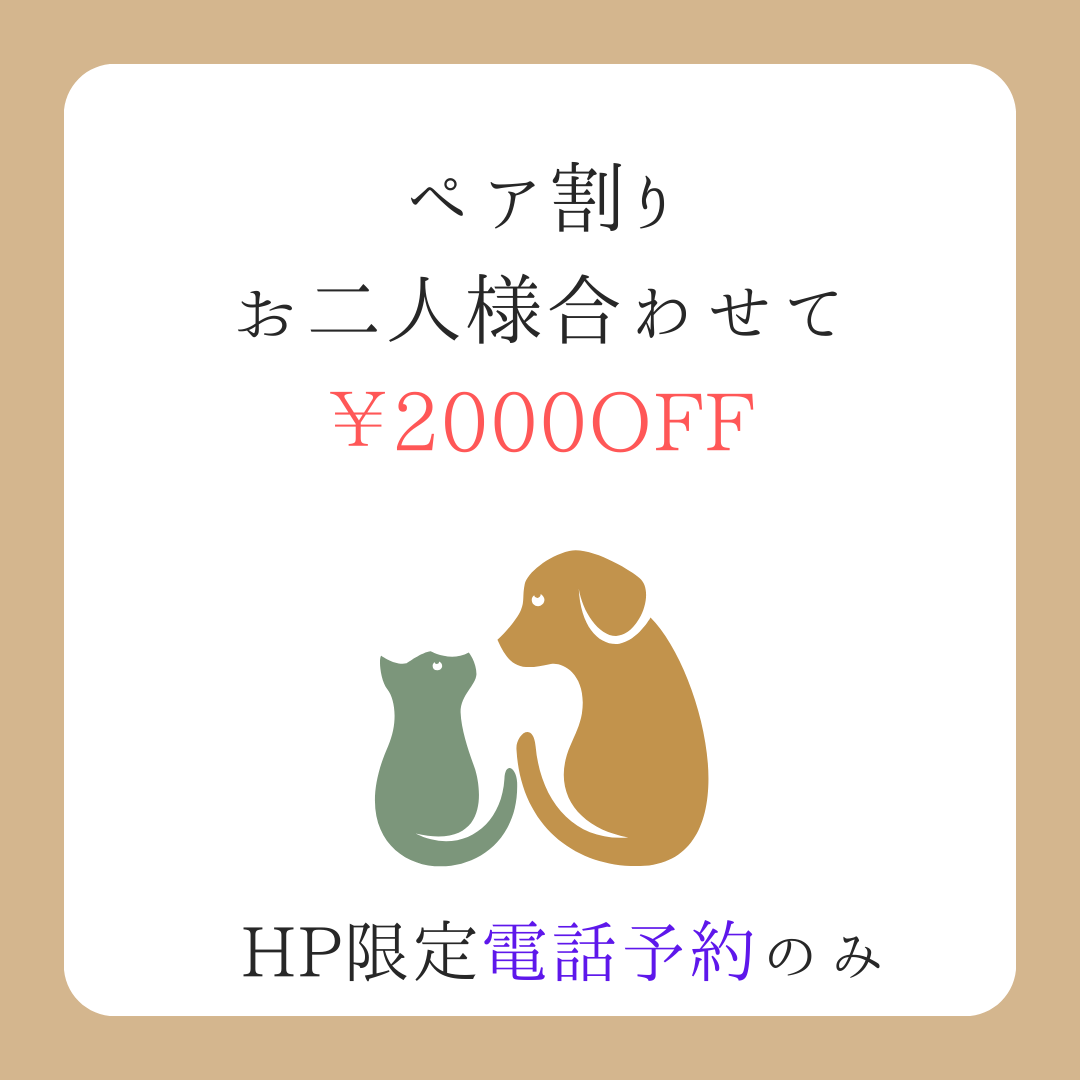 ブラウン　カーキ　イラスト　ペット　動物病院　診療時間　ご案内　instagramの投稿　正方形.png