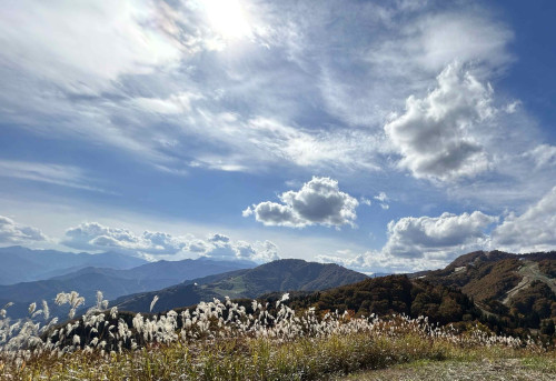 20231025山01.JPG